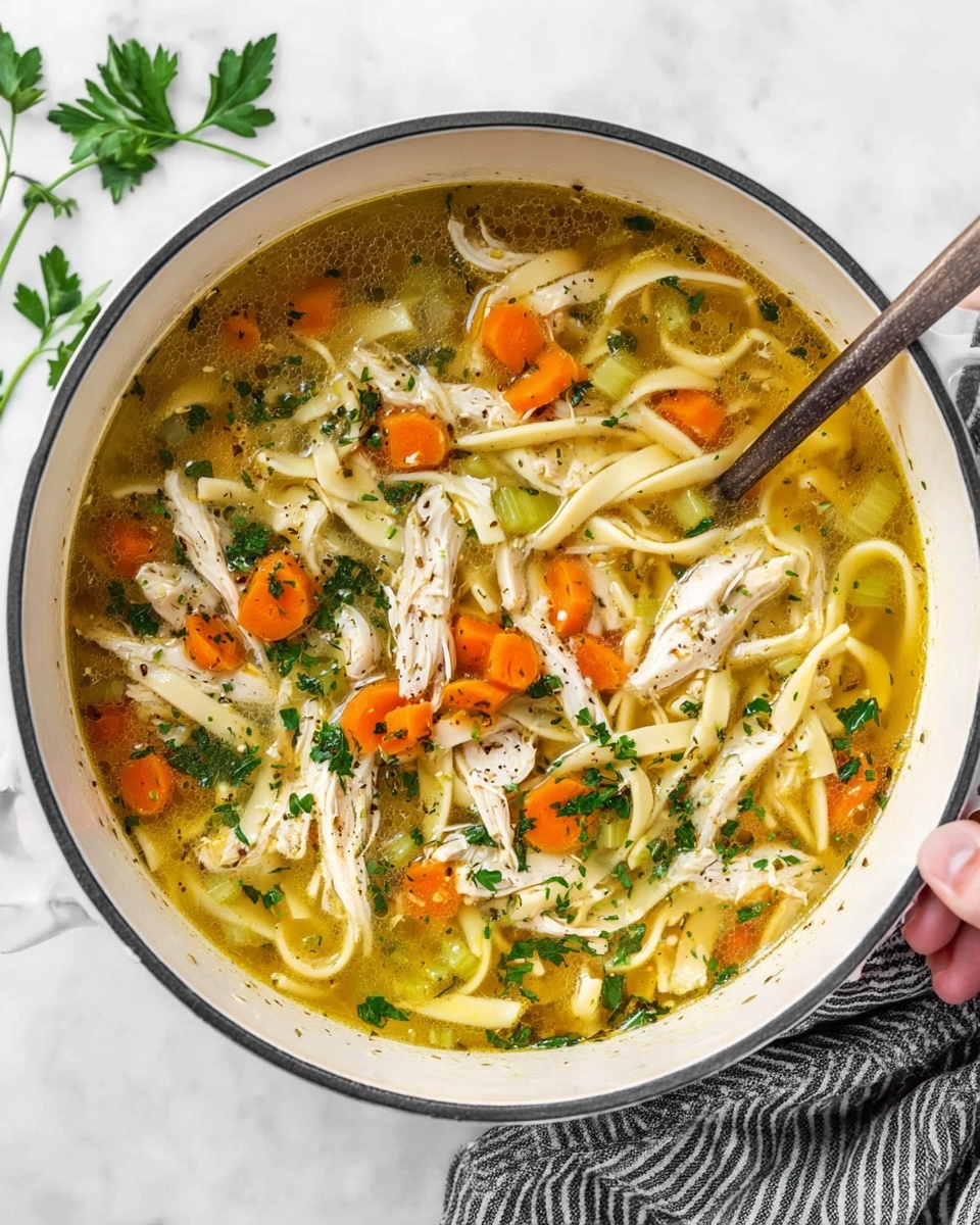 chicken noodle soup - Serving Suggestion